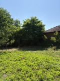Продава  Къща област Плевен , с. Ракита , 100 кв.м | 57168687 - изображение [11]