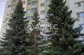 Продава 3-СТАЕН, град Варна, Възраждане 1 • 159900 € • 55329795 — Holmes.bg
