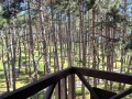 Продава  3-стаен област Пазарджик , гр. Велинград , 80 кв.м | 94155909 - изображение [13]