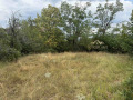 Продава КЪЩА, област Габрово, с. Руня • 35000 € • 43993612 — Holmes.bg