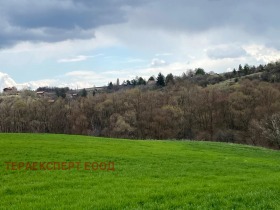 Handlung Boschurishte, region Sofia 1