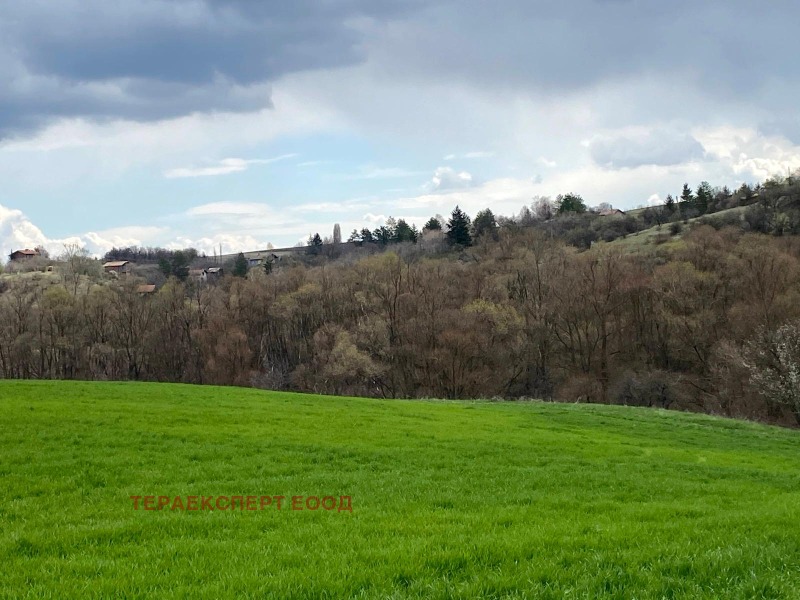 À venda  Trama região Sófia , Bojurichtche , 1210 m² | 80095099