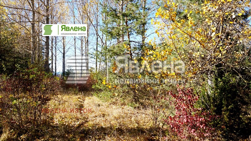 Продава ПАРЦЕЛ, м-т яз. Искър, област София-град, снимка 4 - Парцели - 48936950