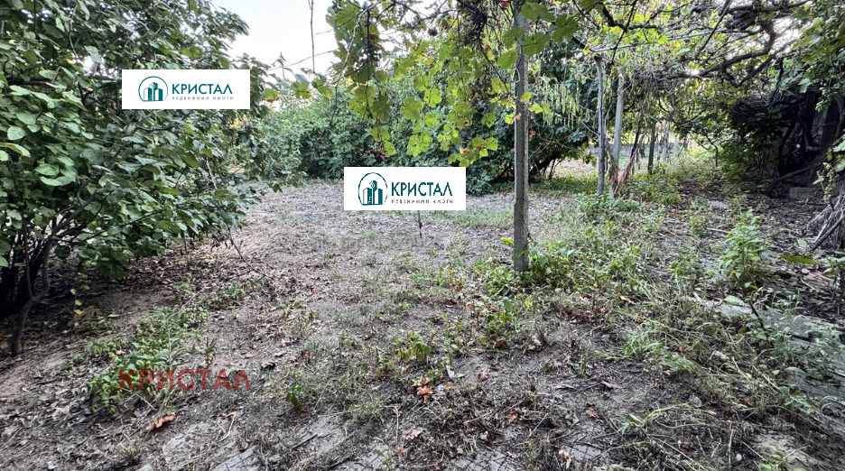 Продава КЪЩА, с. Дълго поле, област Пловдив, снимка 5 - Къщи - 55893702