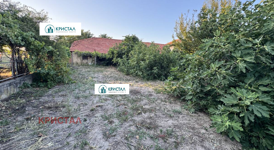 Продава КЪЩА, с. Дълго поле, област Пловдив, снимка 6 - Къщи - 55893702