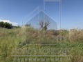 Продава ПАРЦЕЛ, област Пловдив, с. Белащица • 169950 € / 332393.31 лв. • 25878553 3