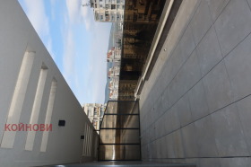 ����� ������� ����������,���� ����� ������, ������