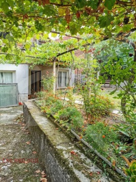 Huis Brestovitsa, regio Plovdiv 3