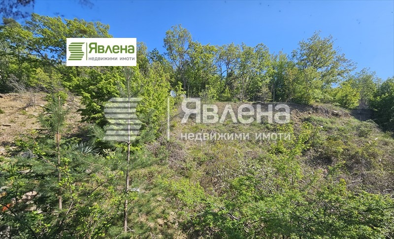 На продаж  2 спальні область Бургас , Свети Влас , 95 кв.м | 16664119 - зображення [10]