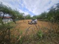 Продава  Парцел област Перник , с. Кленовик , 820 кв.м | 15725683 - изображение [12]