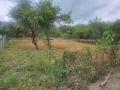 Продава  Парцел област Перник , с. Кленовик , 820 кв.м | 15725683 - изображение [5]