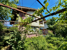 ������ ������� ����