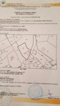 Продава ПАРЦЕЛ, с. Чокманово, област Смолян, снимка 2