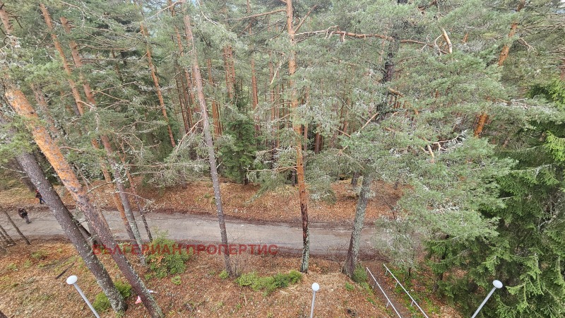 For Sale  1 bedroom region Sofia , k.k. Borovets , 66 sq.m | 92263951 - image [12]