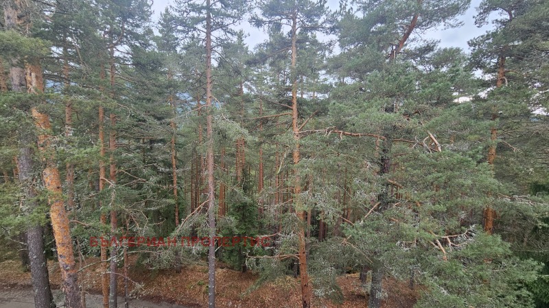 For Sale  1 bedroom region Sofia , k.k. Borovets , 66 sq.m | 92263951 - image [11]