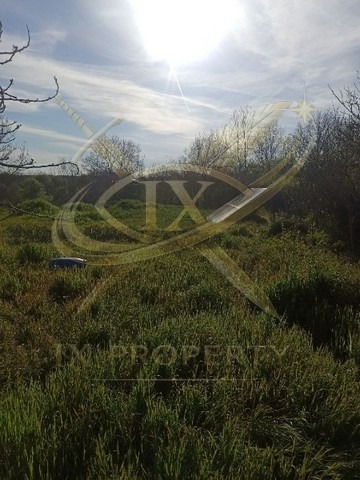 Продава КЪЩА, с. Светлина, област Бургас, снимка 6 - Къщи - 54366284