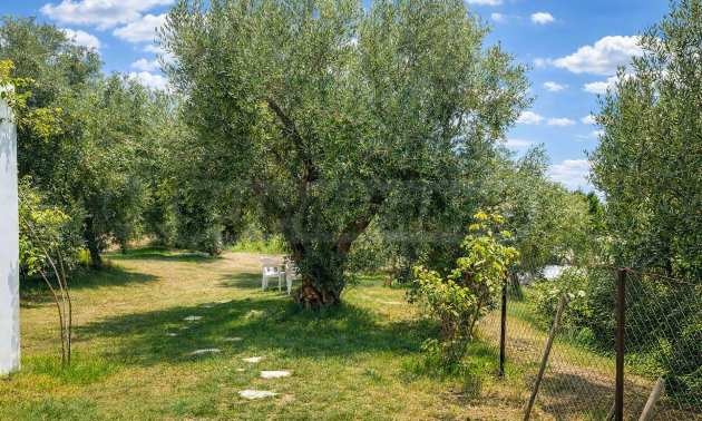 ������� ���� | Imot.bg � ����������� 16