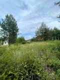 Продава ПАРЦЕЛ, град Кюстендил, Колуша • 30000 € • 28930727 — Holmes.bg