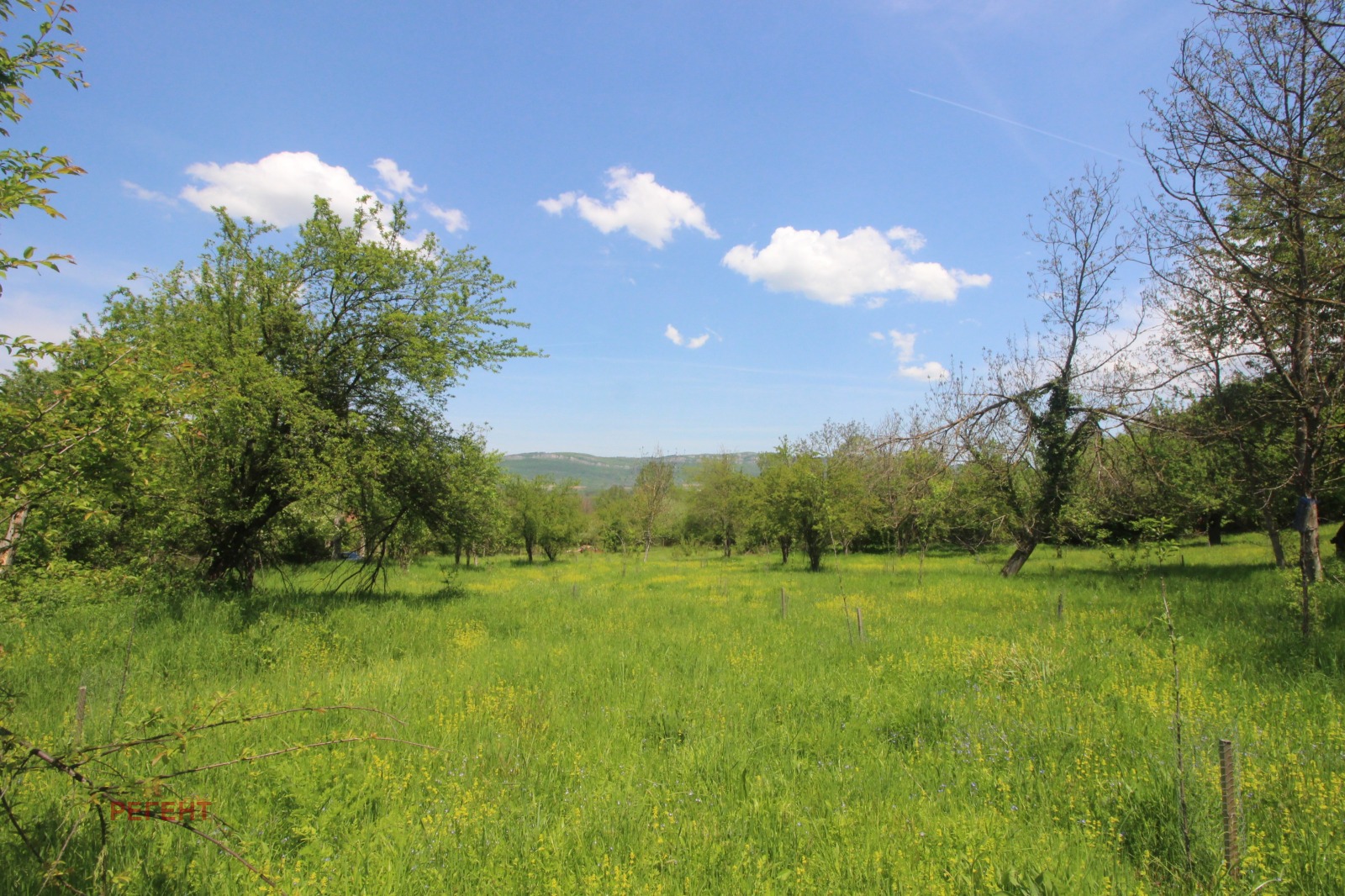 ������� ���� | Imot.bg � ����������� 7