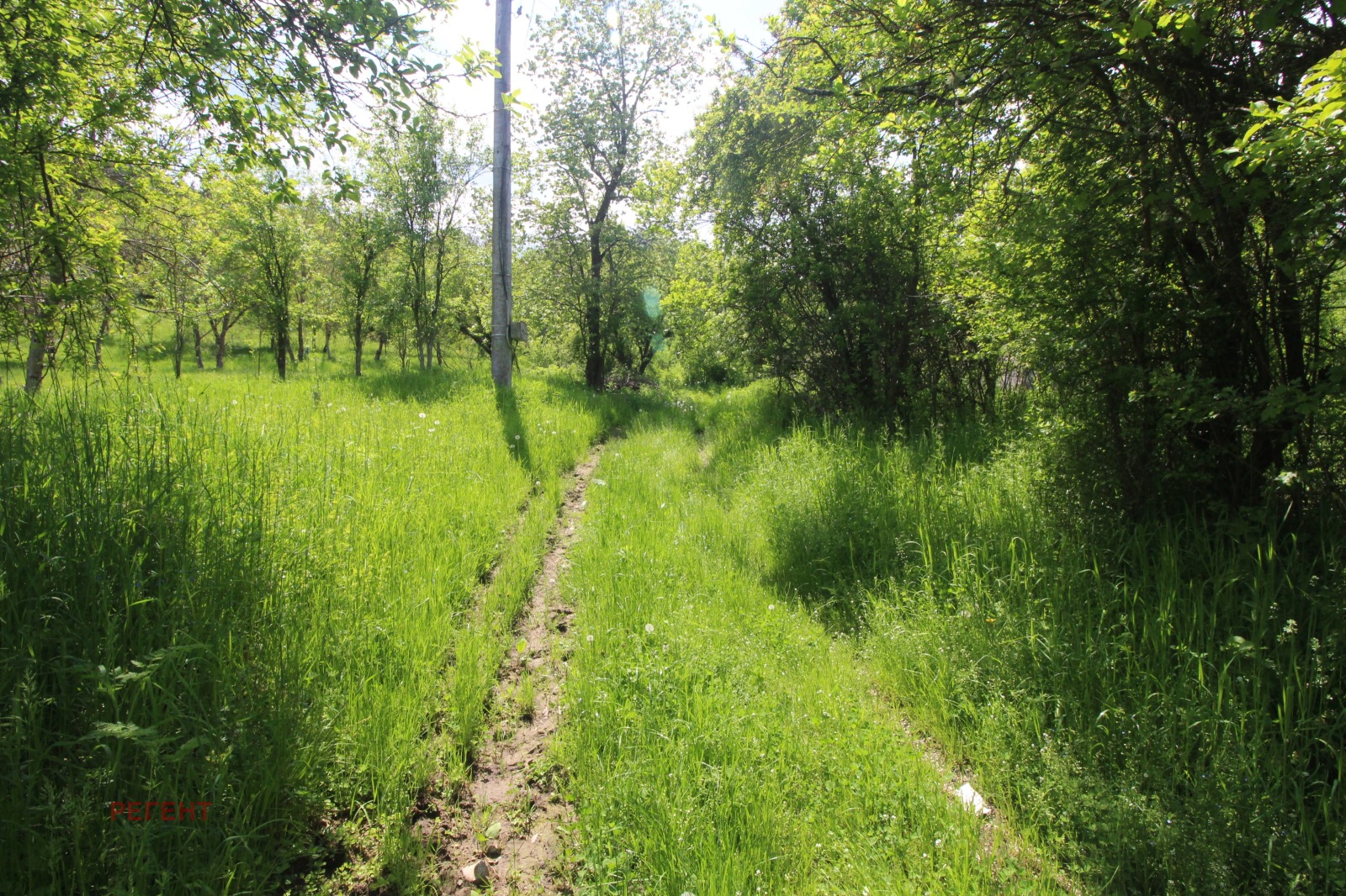 ������� ���� | Imot.bg � ����������� 8