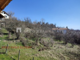 ����� ������� ����,�. �����, ������ ������