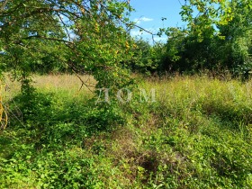 ������� ������ | Imot.bg � ����� ������ 5