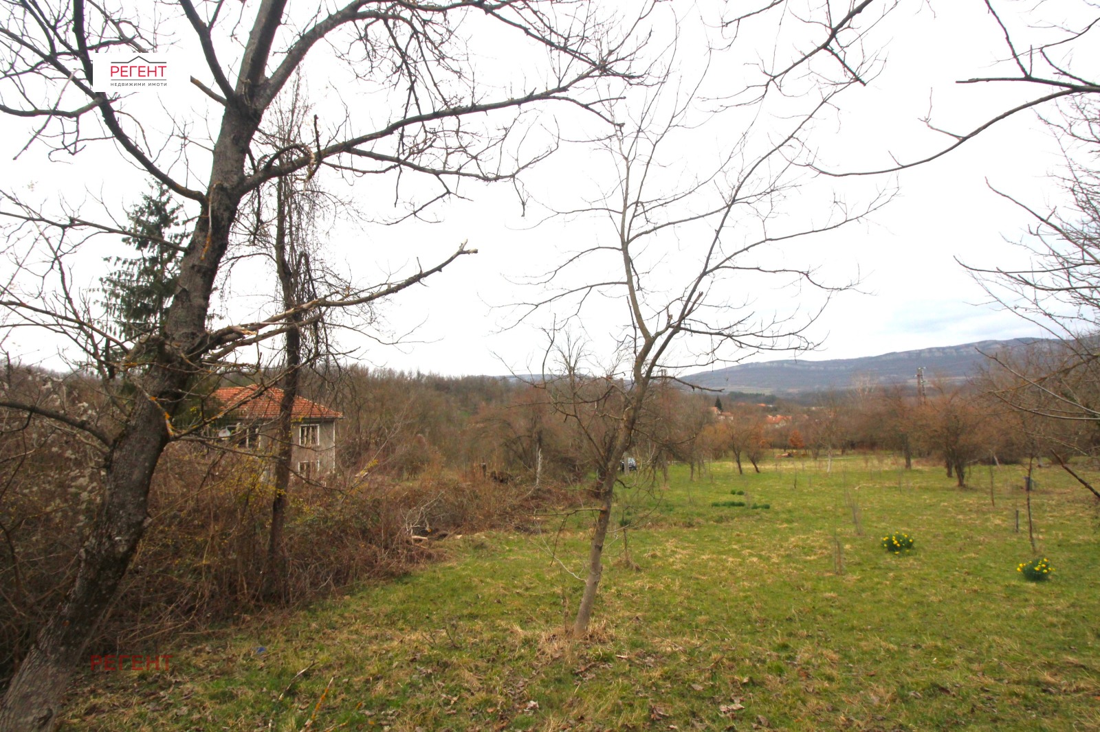 Продава КЪЩА, с. Враниловци, област Габрово, снимка 2 - Къщи - 53962843