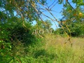 Продава  Парцел град Шумен , м-т Под Манастира , 1140 кв.м | 60176566 - изображение [8]