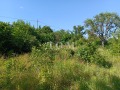 Продава  Парцел град Шумен , м-т Под Манастира , 1140 кв.м | 60176566 - изображение [9]