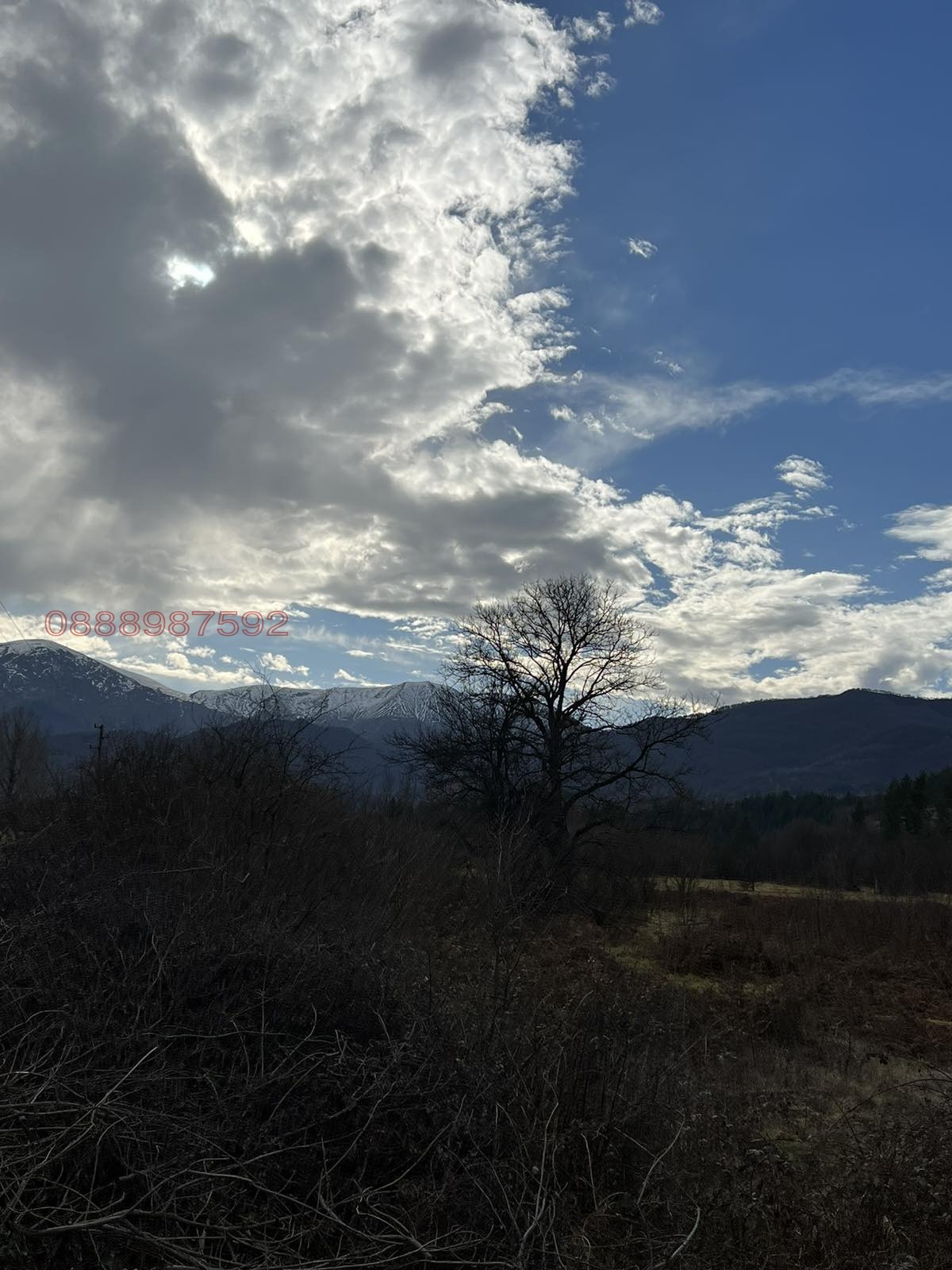 ������� ���������� ���� | Imot.bg � ����������� 5