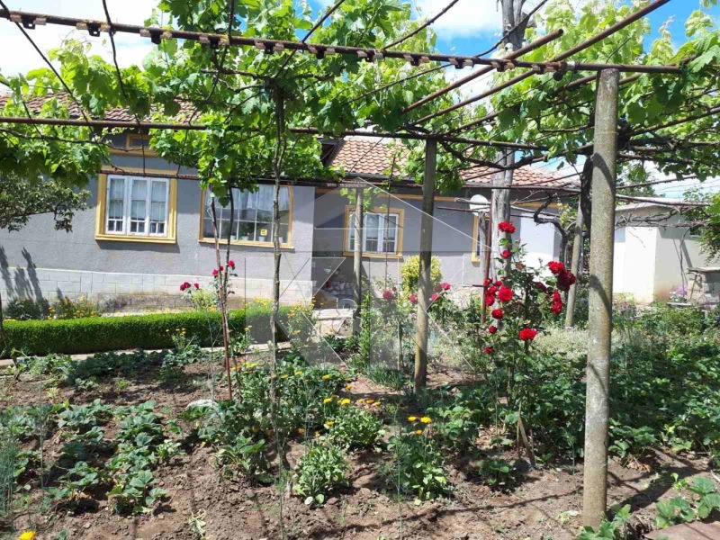 Te koop  Huis regio Dobritsj , Vasilevo , 100 m² | 73106212 - afbeelding [6]