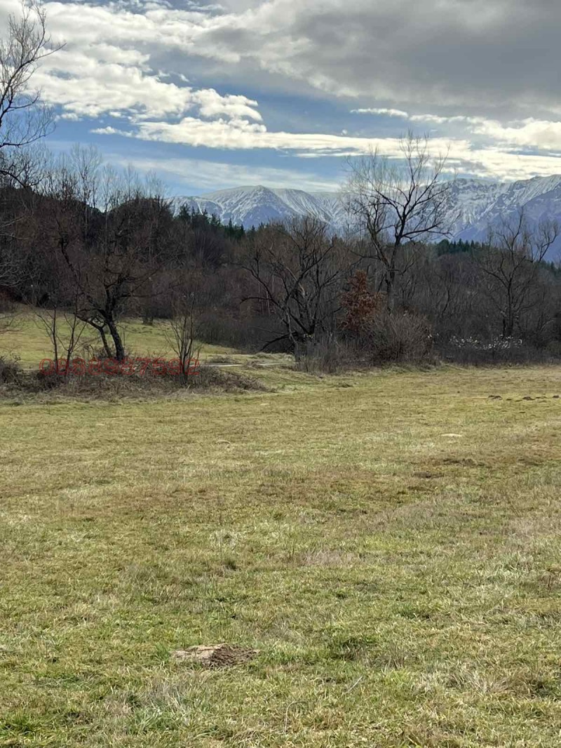 Продава ЗЕМЕДЕЛСКА ЗЕМЯ, гр. Априлци, област Ловеч, снимка 8 - Земеделска земя - 53129355