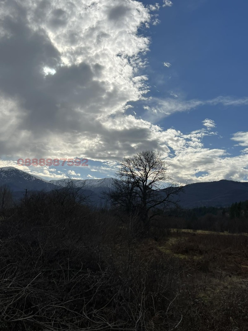 Продава ЗЕМЕДЕЛСКА ЗЕМЯ, гр. Априлци, област Ловеч, снимка 5 - Земеделска земя - 53129355