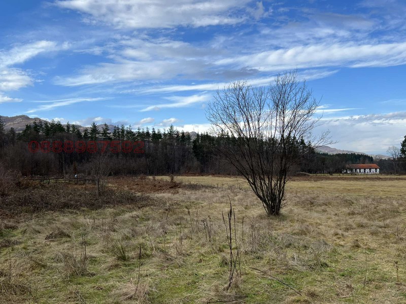 Продава ЗЕМЕДЕЛСКА ЗЕМЯ, гр. Априлци, област Ловеч, снимка 7 - Земеделска земя - 53129355