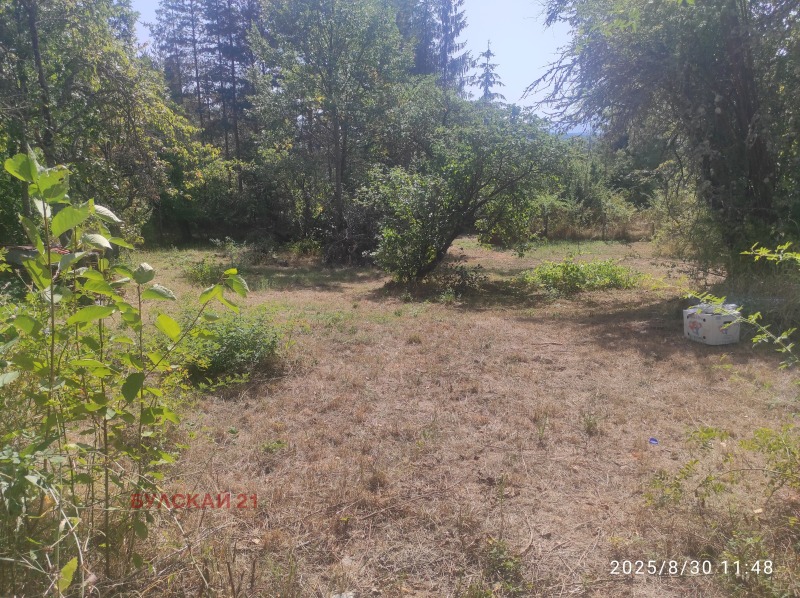 Till salu  Hus Sofia , m-t Stjarkelovo gnezdo , 50 kvm | 53952746 - bild [6]