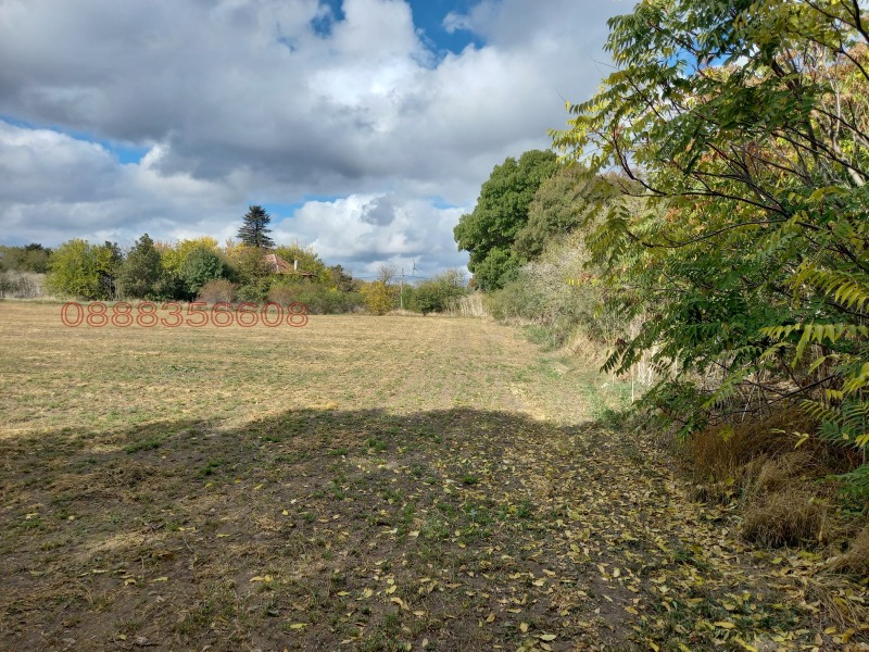 Продава ПАРЦЕЛ, с. Горун, област Добрич, снимка 5 - Парцели - 52784376