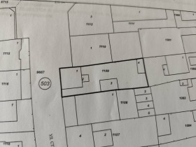 ����� ������� ������,���� ���������, ������