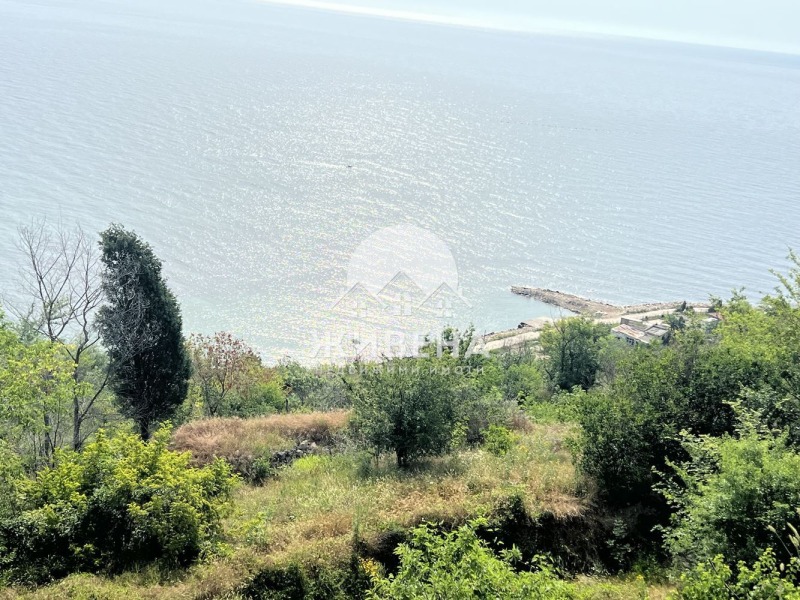 Продаја  Плот регион Добрицх , Кранево , 524 м2 | 31949354 - слика [9]