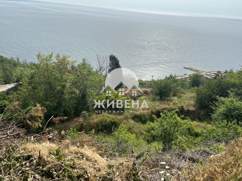 Продаја  Плот регион Добрицх , Кранево , 524 м2 | 31949354 - слика [7]