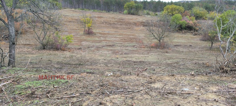 Продава ПАРЦЕЛ, град Стара Загора, Железник - център • 203120 € / 397268.19 лв. • 24407421 1