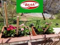 Продава 3-СТАЕН, град Велико Търново, Колю Фичето • 130000 € / 254257.90 лв. • 62664823 4