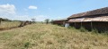 Продава  Къща област Пловдив , с. Старосел , 128 кв.м | 86948510 - изображение [6]