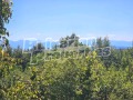 Продава ВИЛА, област София, с. Белица • 56000 € • 61976301 — Holmes.bg