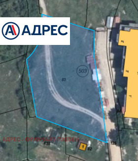 ����� ������� ������,��. �����, ������ �����