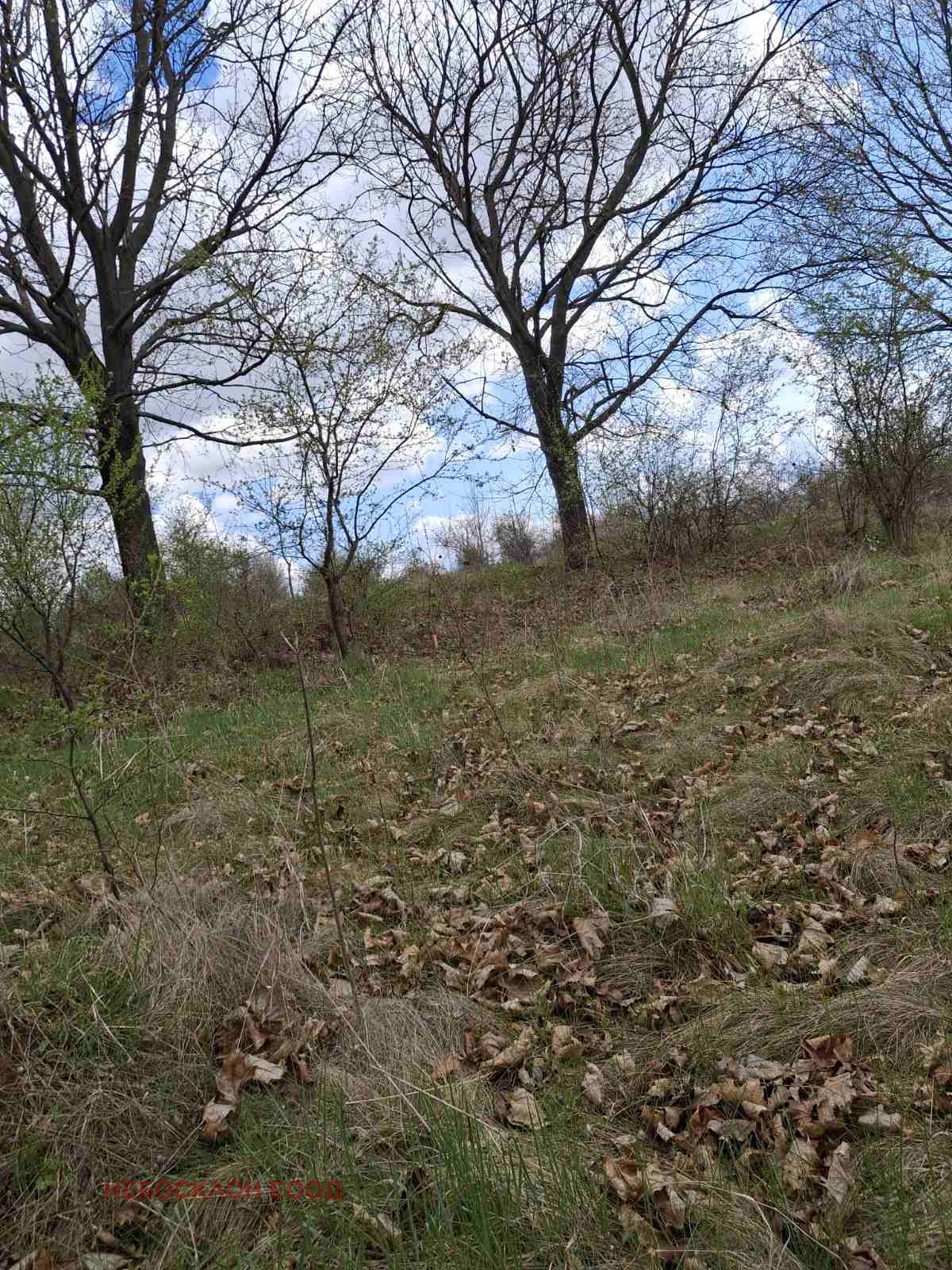 ������� ������ | Imot.bg � ����������� 5