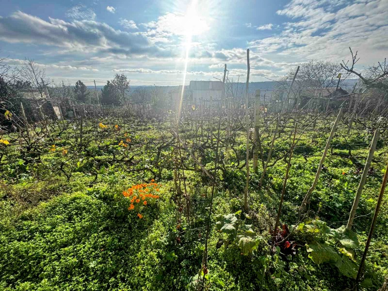 Продава КЪЩА, гр. Варна, м-т Боровец - юг, снимка 4 - Къщи - 52691229