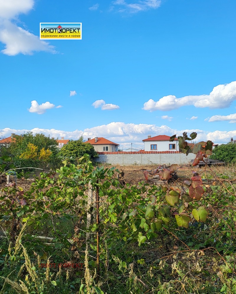 Продава  Парцел област Пазарджик , с. Драгор , 1000 кв.м | 25776868 - изображение [4]