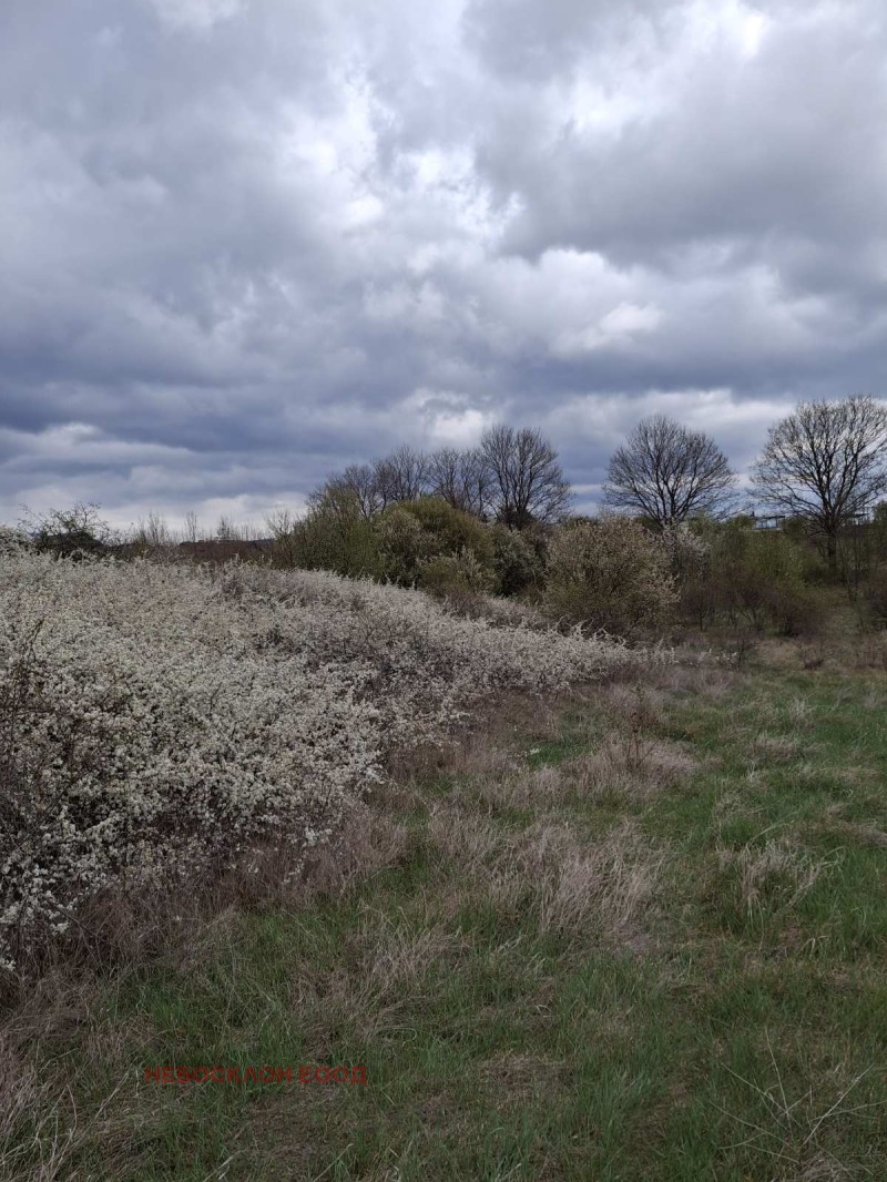 Продава ПАРЦЕЛ, гр. София, с. Войнеговци, снимка 2 - Парцели - 52867290