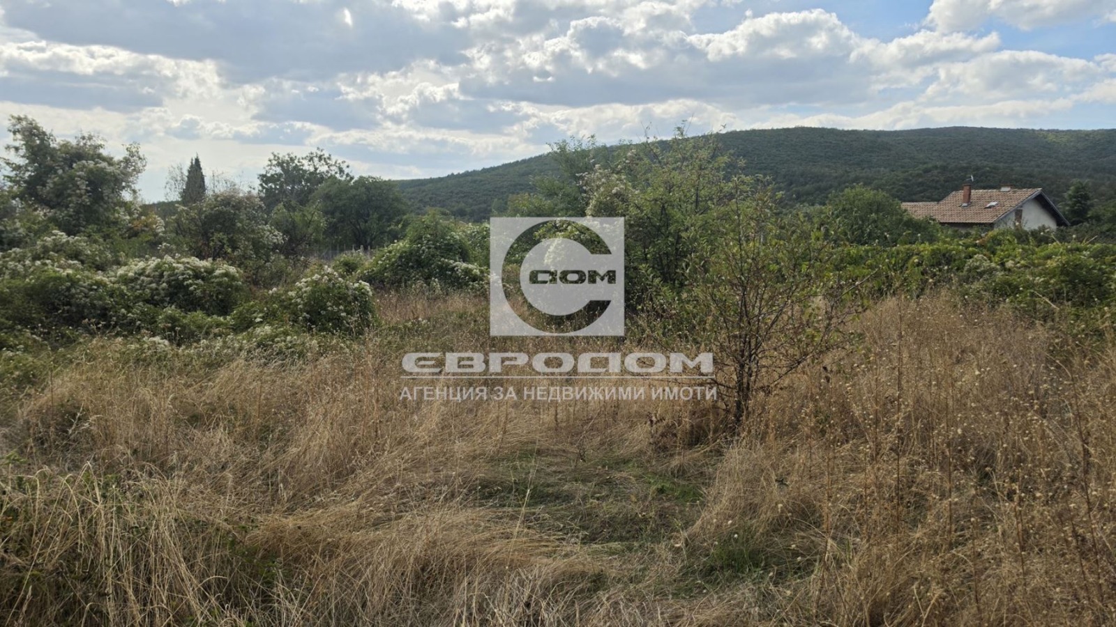 Продава ПАРЦЕЛ, с. Колена, област Стара Загора, снимка 3 - Парцели - 56267877