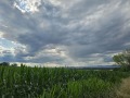 Продава ЗЕМЕДЕЛСКА ЗЕМЯ, гр. София, област София-град, снимка 3